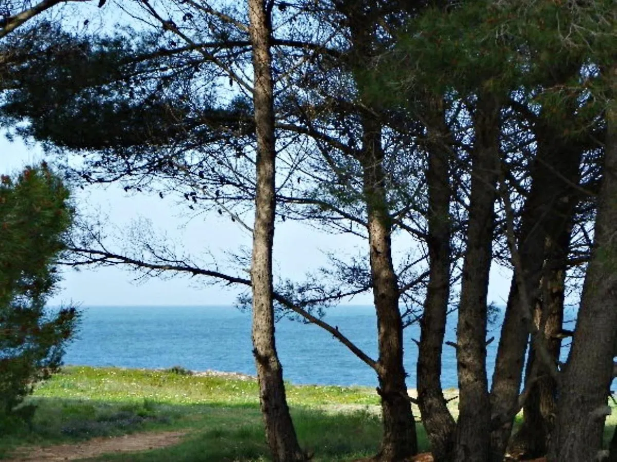 Vacay Apartamento Calme L'Escala Spain